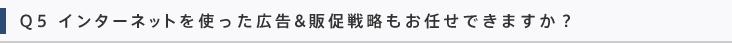 Q5 インターネットを使った広告&販促戦略もお任せできますか？